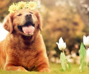 фотография клиники