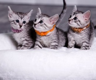 фотография клиники