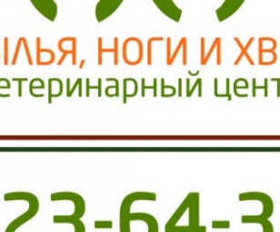фотография клиники