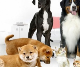 фотография клиники