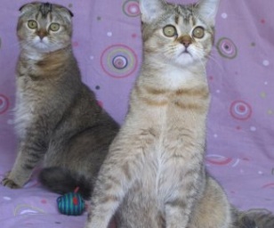 фотография клиники