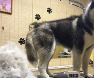 фотография клиники