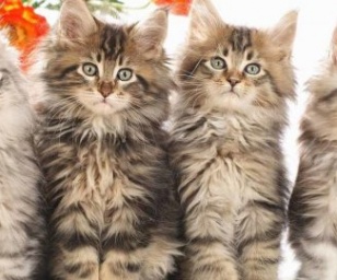 фотография клиники