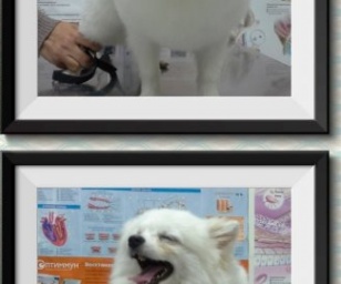 фотография клиники