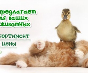 фотография клиники