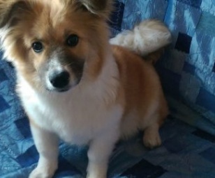 фотография клиники